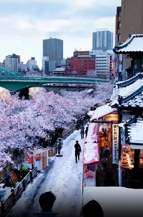 白雪皑皑的东京城